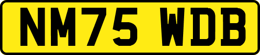 NM75WDB