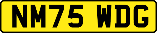 NM75WDG