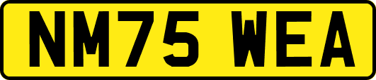 NM75WEA