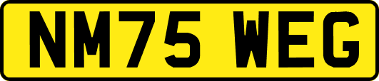 NM75WEG