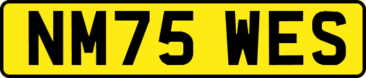 NM75WES