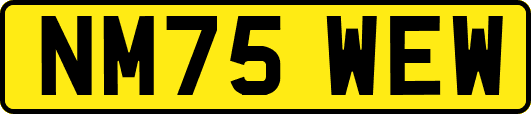 NM75WEW