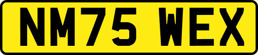 NM75WEX