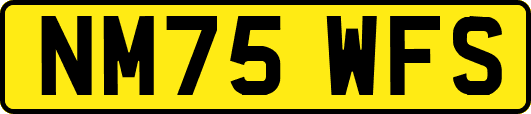NM75WFS
