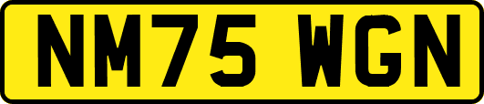 NM75WGN