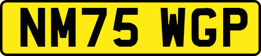 NM75WGP