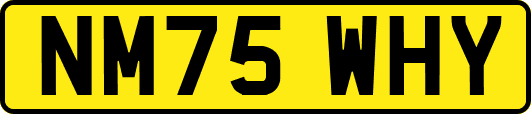 NM75WHY