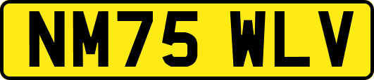 NM75WLV
