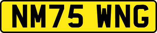 NM75WNG