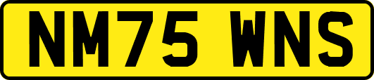 NM75WNS