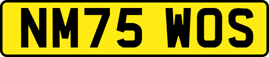NM75WOS