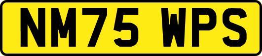NM75WPS