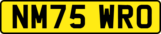 NM75WRO