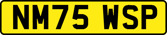 NM75WSP