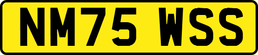NM75WSS