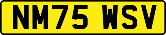 NM75WSV
