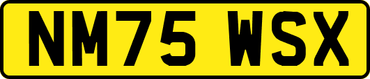 NM75WSX