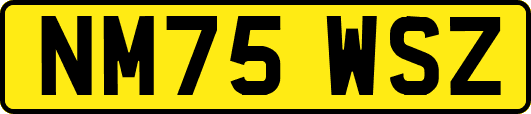 NM75WSZ