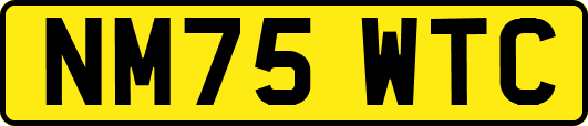 NM75WTC