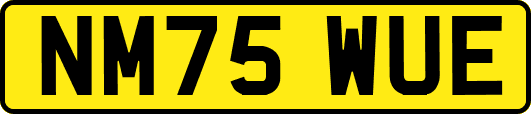 NM75WUE