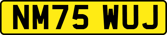 NM75WUJ
