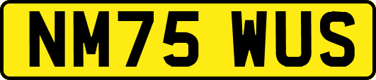 NM75WUS