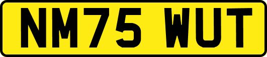 NM75WUT