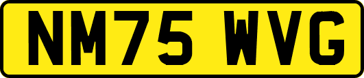 NM75WVG