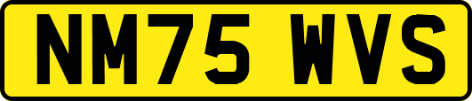 NM75WVS