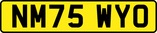 NM75WYO