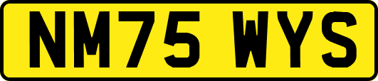 NM75WYS