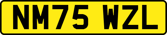 NM75WZL