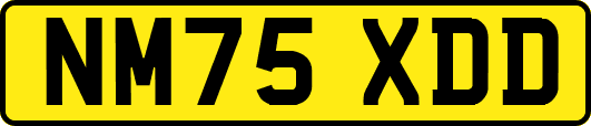 NM75XDD