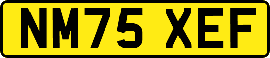 NM75XEF