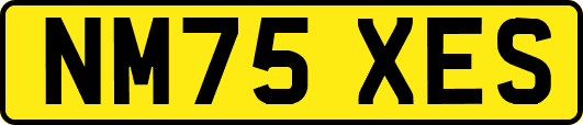 NM75XES