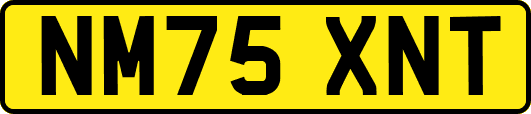 NM75XNT