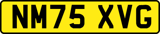 NM75XVG