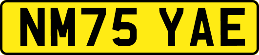 NM75YAE