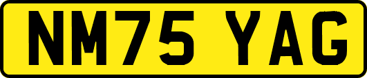 NM75YAG