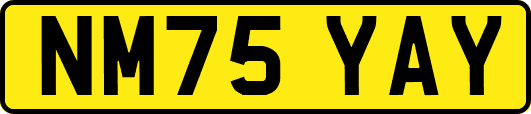 NM75YAY
