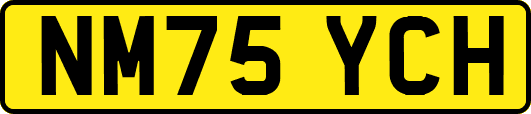 NM75YCH