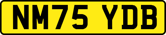 NM75YDB