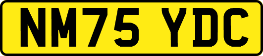 NM75YDC