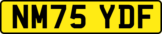 NM75YDF
