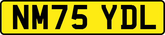 NM75YDL