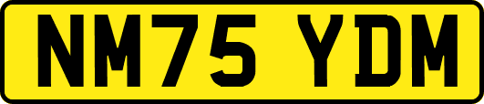NM75YDM