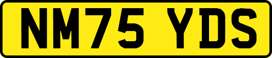 NM75YDS