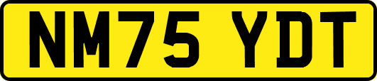 NM75YDT