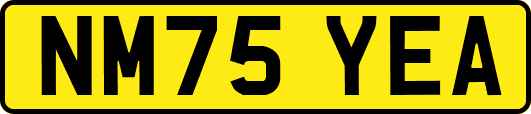 NM75YEA