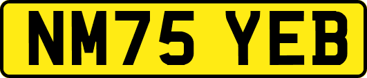 NM75YEB